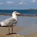 2009-09-dinard-OK (45)
